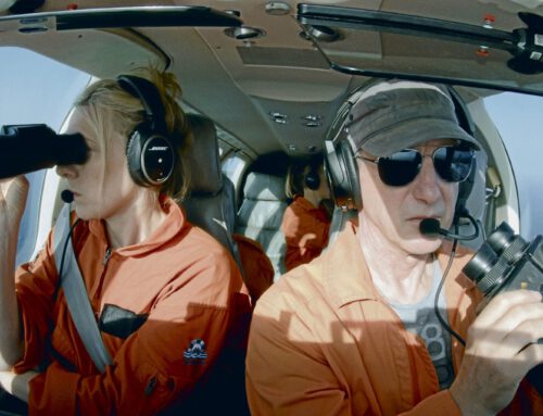 Kein Land für Niemand – Abschottung eines Einwanderungslandes