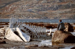 Leviathan (2014) - filmstill